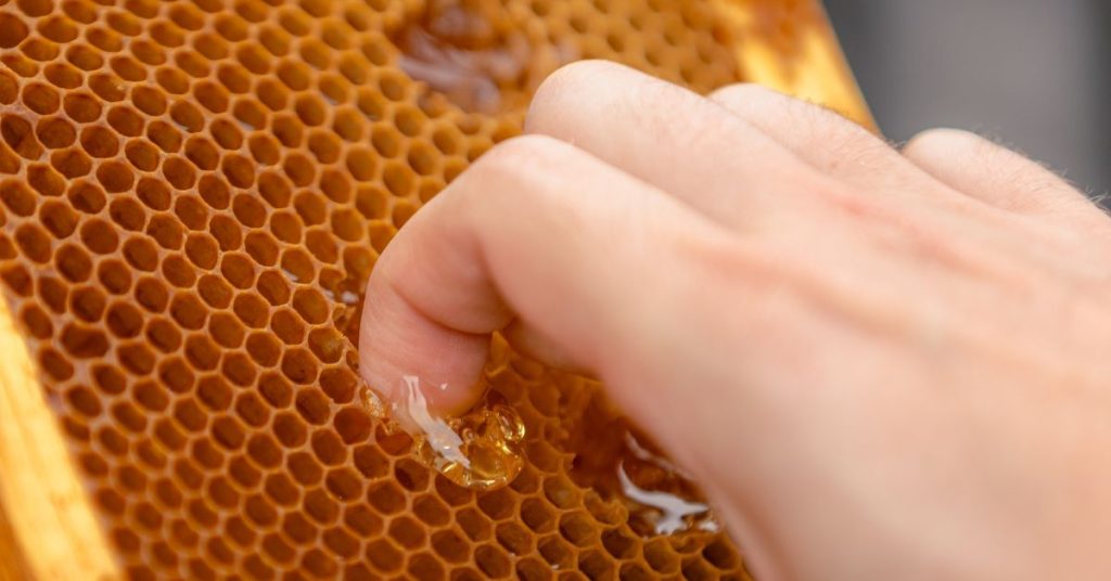 A Lesson from the Bees